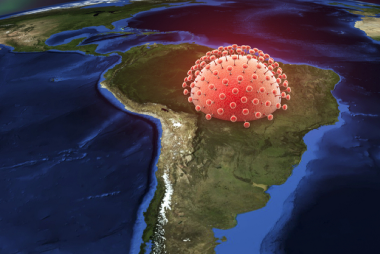 Possible Zika reservoirs in the Americas