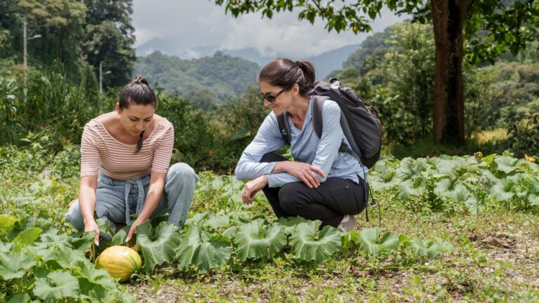 Halting hidden hunger