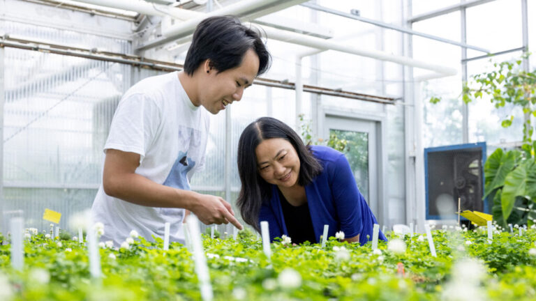 Biologist Zhong to study how plants deal with nutrient stress