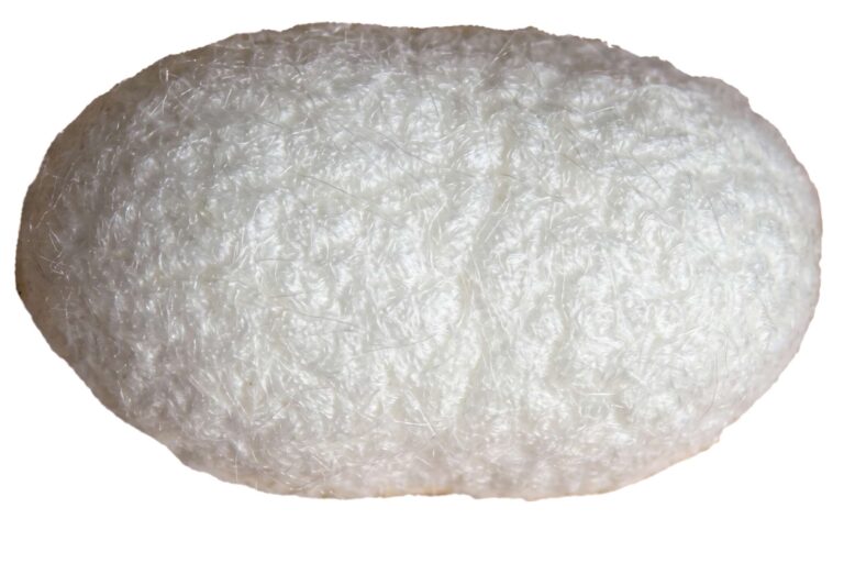 Silkworm cultivation predated the Silk Road in southern Central Asia